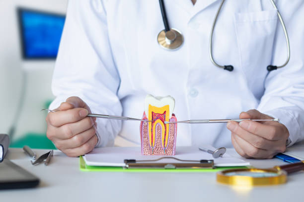 Best Emergency Denture Repair in Johnstonville, CA